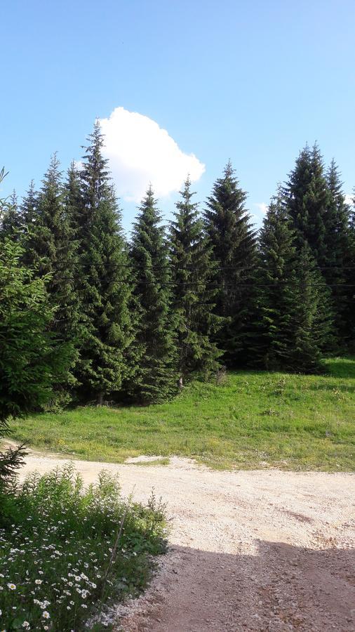 Willa Snowhite Jahorina Zewnętrze zdjęcie