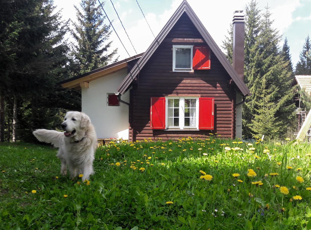 Willa Snowhite Jahorina Zewnętrze zdjęcie